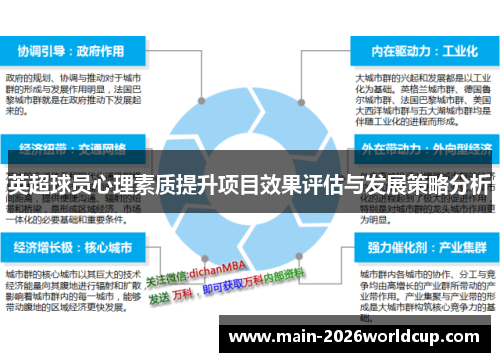 英超球员心理素质提升项目效果评估与发展策略分析